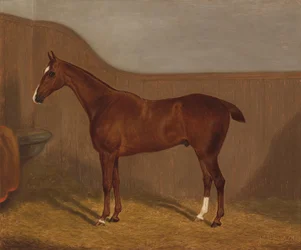 Portrait of a horse (Lady Oswestry or Dandy, one of two paintings offered in one lot under these designations)